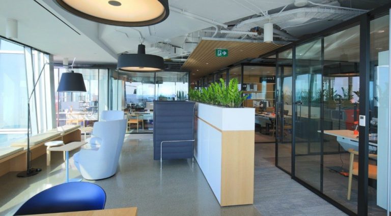 Thiết kế nội thất văn phòng hiện đại không gian xanh, tận dụng lối đi để trang trí cây xanh